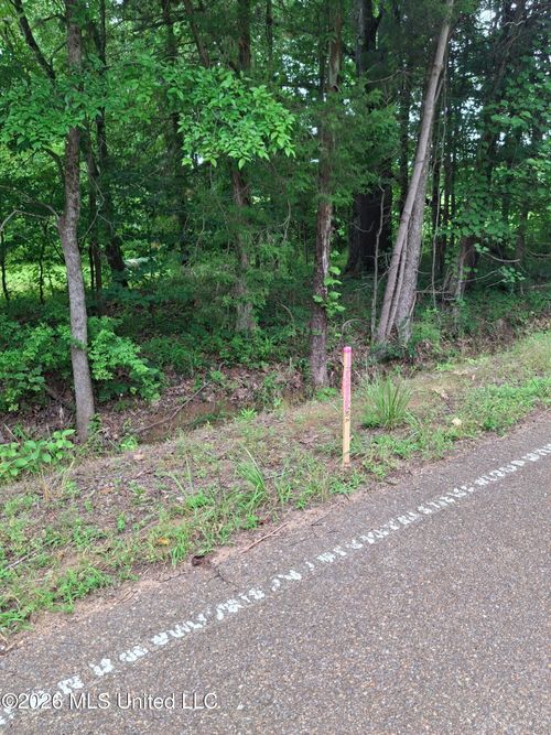 0 Denman Rd, Byhalia, MS, 38611 | Card Image