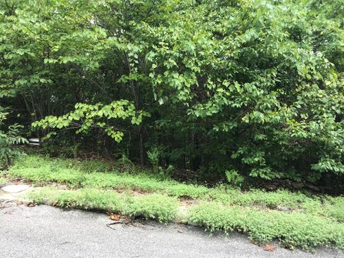 Lot 256 Skylee Dr, Hollister, MO, 65672 | Card Image