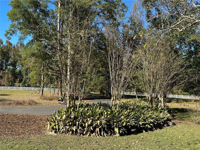 TREES & GARDENS SURROUND HOME | Image 57