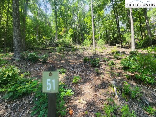 51 Wilderness Reserve Parkway, Deep Gap, NC, 28618 | Card Image