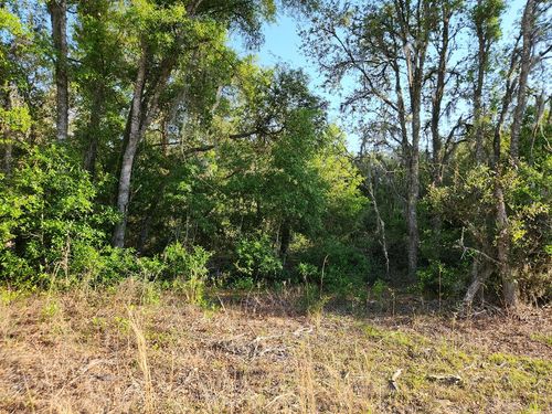 TBD Ne 65th St, BRONSON, FL, 32621 | Card Image