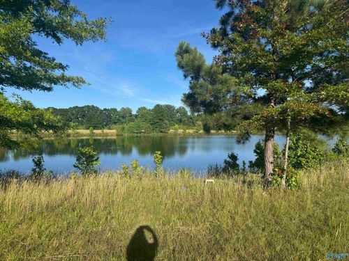 645 County Road 487, Moulton, AL, 35650-7063 | Card Image