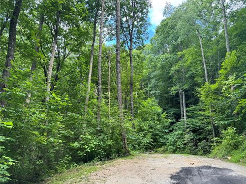 191 Shortoff Shadow Trail, Highlands, NC, 28741 | Card Image
