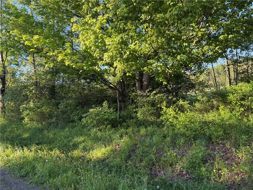 0 Bloom St, Gilbertsville, NY, 13776 | Card Image