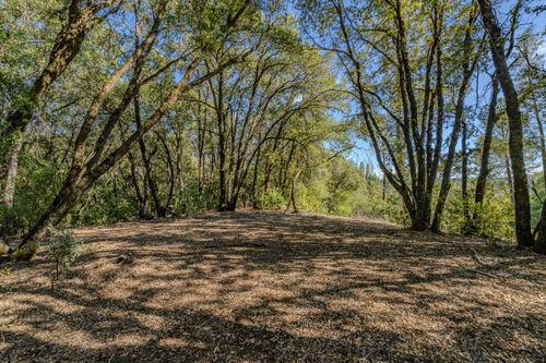 16490 Ponderosa Dr, Volcano, CA, 95689-8016 | Card Image