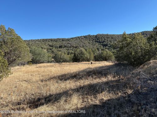 LT. 274 Paseo De Aguayo, Alto, NM, 88312 | Card Image