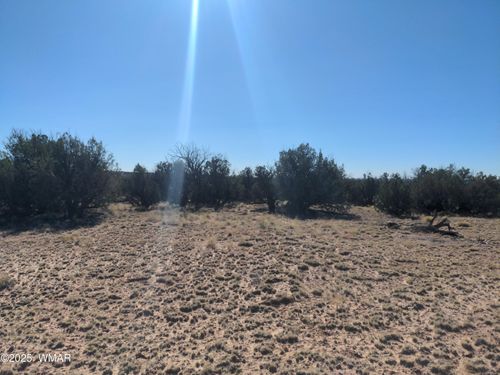 LOT 35 6718, St. Johns, AZ, 85936 | Card Image