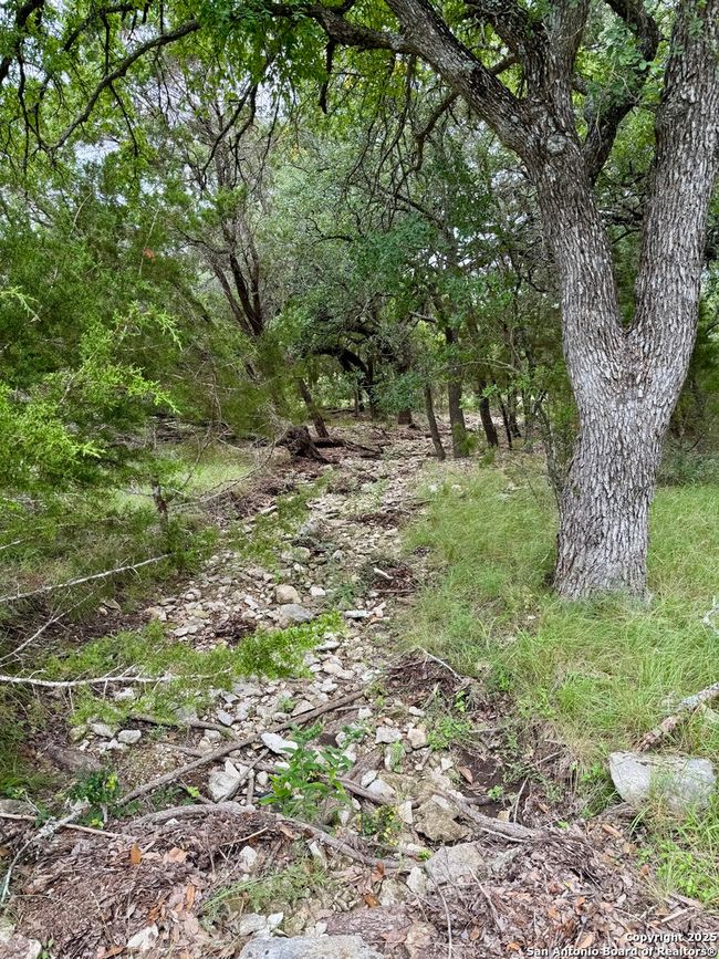 1187 Long Meadow, Home with 0 bedrooms, 0 bathrooms and null parking in Spring Branch TX | Image 16