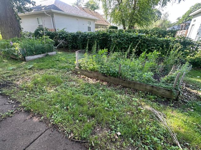 2 Garden beds | Image 54