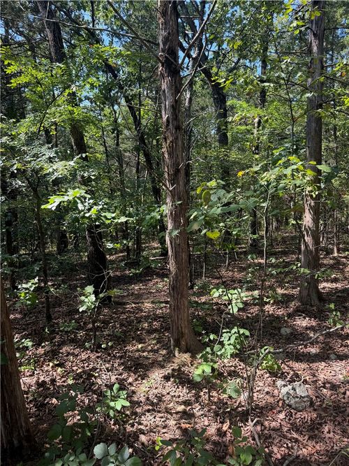 TBD (Lot 18) Larchwood Drive, Diamond City, AR, 72644 | Card Image