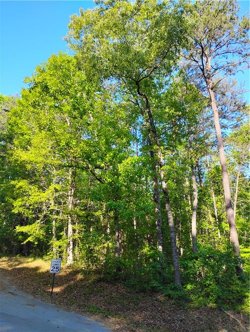 0 Rocky Falls Dr, Westminster, SC, 29693 | Card Image