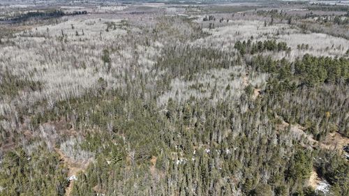 80 Acres Cth Cc, Tomahawk, WI, 54487 | Card Image