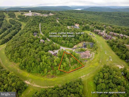 Lot 87 Lower Camp Rd, MC HENRY, MD, 21541 | Card Image