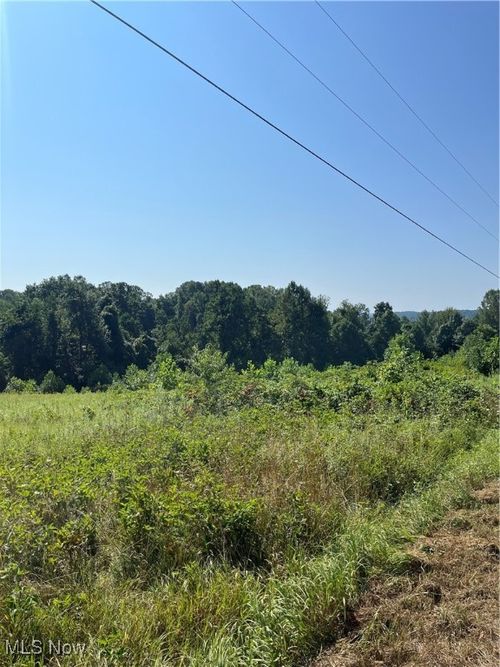 0 Timber Rd, Bergholz, OH, 43908 | Card Image