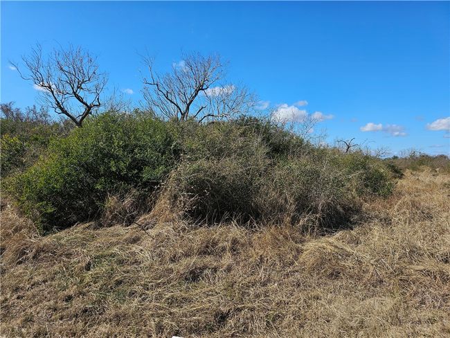 1918 First St, Home with 0 bedrooms, 0 bathrooms and null parking in Bayside TX | Image 8