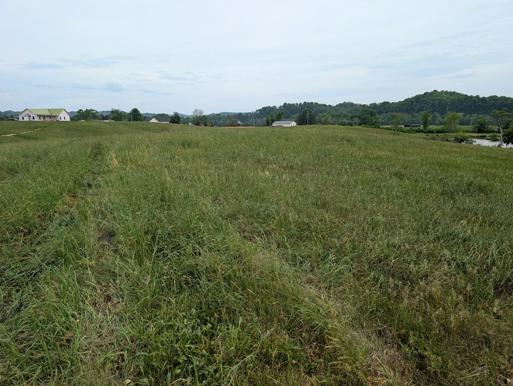 Land in Burkesville 2