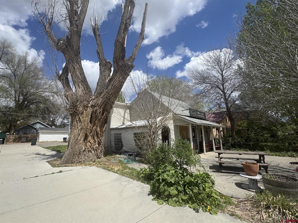 246 E Bridge St, Hotchkiss, CO 81419