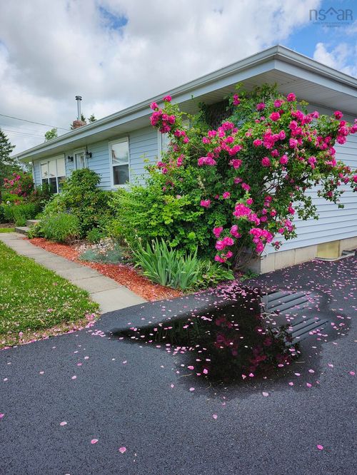 22 Macdougall St, Antigonish, NS, B2G2P5 | Card Image