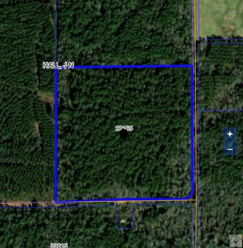 TBD Cr 4208, Simms, TX, 75574 | Card Image