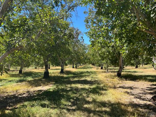 9029 Gaddini Rd, Winters, CA, 95694-9641 | Card Image