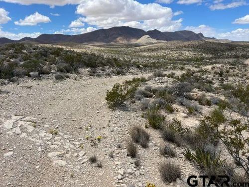 21231 Slate Springs, Terlingua, TX, 79852 | Card Image