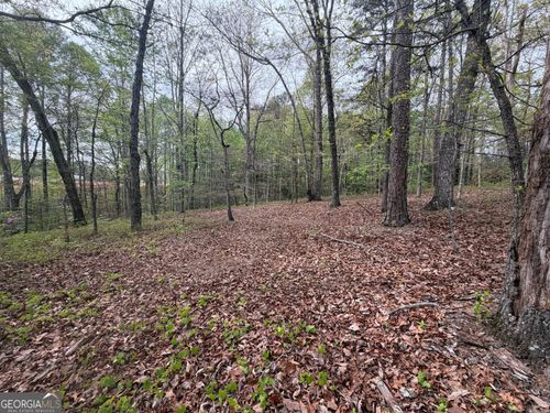 0 N County Line Rd, Alto, GA, 30510 | Card Image