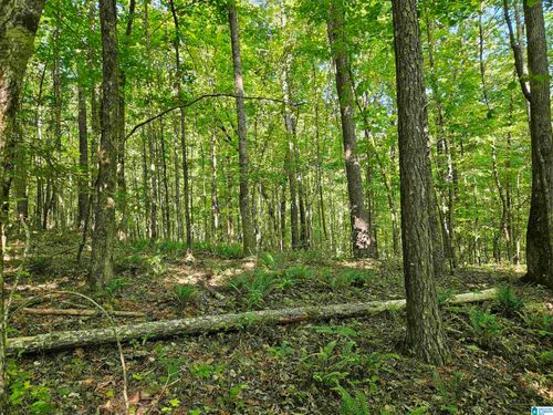 0-0 Mardis Lane, Springville, AL, 35146 | Card Image