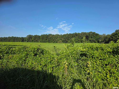 00 Catholic Church Rd, Golconda, IL, 62938 | Card Image