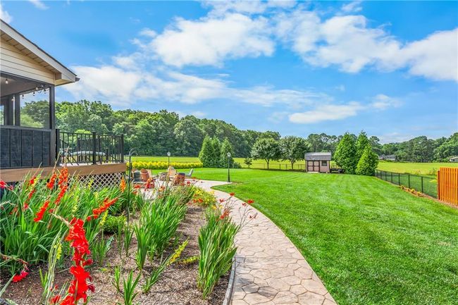 Back Yard | Image 47