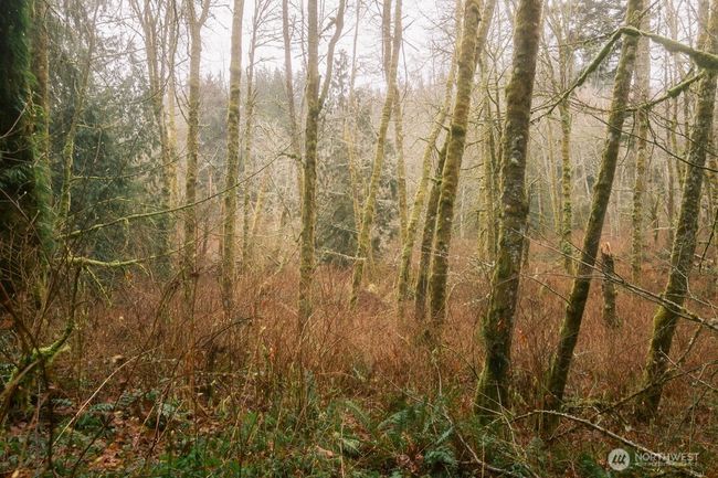 950 Yew St, Home with 0 bedrooms, 0 bathrooms and null parking in Bellingham WA | Image 8