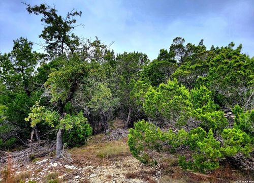 171 Appaloosa Dr, Fischer, TX, 78623-1893 | Card Image