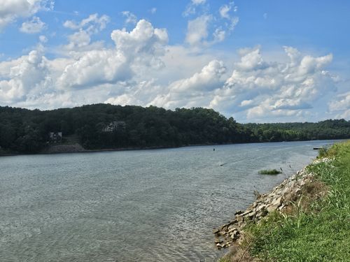 0 Hardin Bottom River Rd, Clifton, TN, 38425 | Card Image