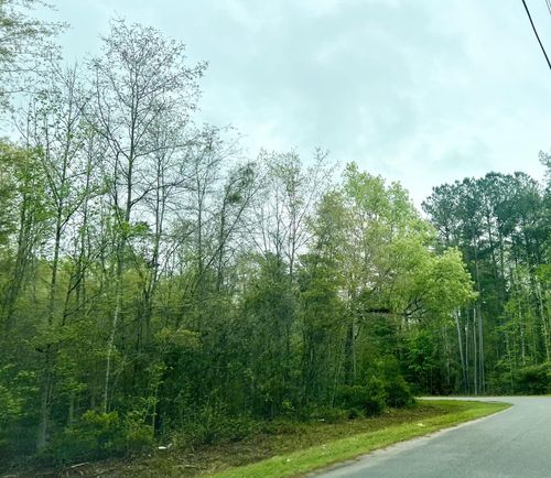 0 Glenn St, Walterboro, SC, 29488 | Card Image