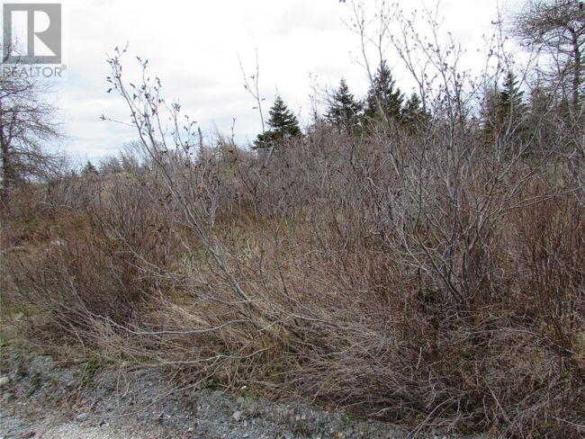 45 New Line Road, Home with 0 bedrooms, 0 bathrooms and null parking in Colliers NL | Image 15