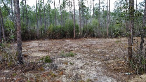 Parcel 11 Rocky Hill Dedeaux Rd, Kiln, MS, 39556 | Card Image