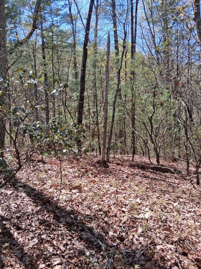 Lot 751 Morton Dr, Home with 0 bedrooms, 0 bathrooms and null parking in Ellijay GA | Image 5