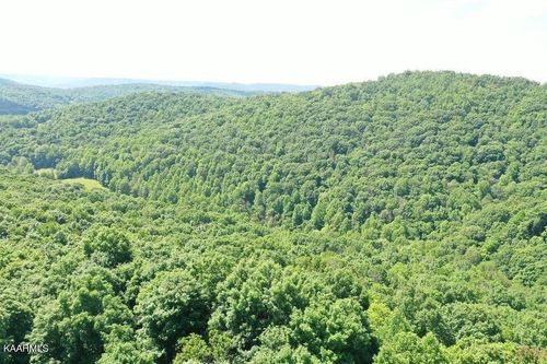 220 Rock View Rd, Pall Mall, TN, 38577-4508 | Card Image