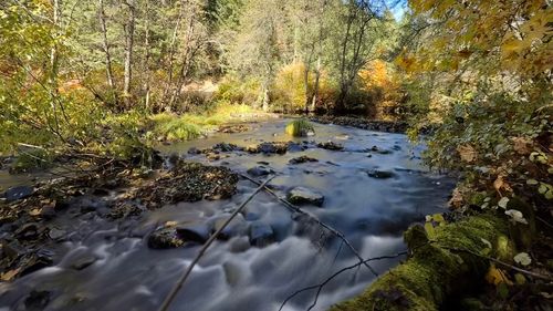 52 Dodes Creek Rd, Trail, OR, 97541-9765 | Card Image