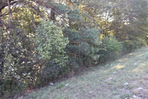 TBD E Webster St, Jefferson, TX, 75657 | Card Image