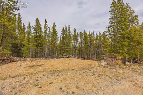 144 Crescent Rd, FAIRPLAY, CO, 80440 | Card Image