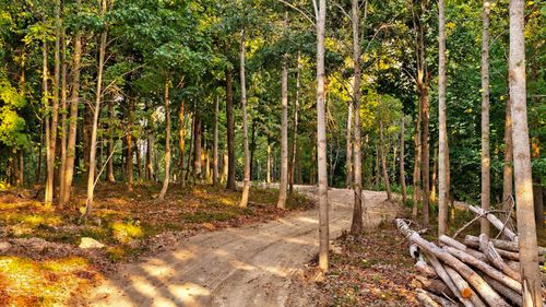 2480 Claylick Rd, Whites Creek, TN, 37189-9081 | Card Image