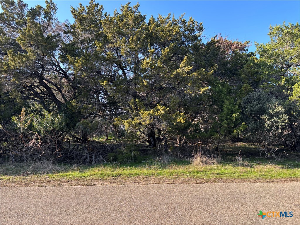 Land in Belton 2