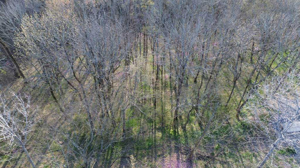 Land in Smithville 5
