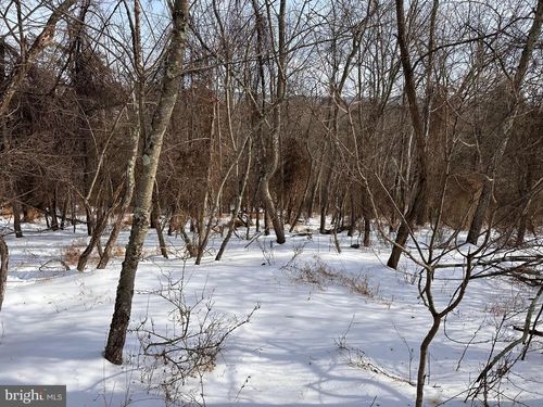 1 Winchester Grade Road, BERKELEY SPRINGS, WV, 25411 | Card Image