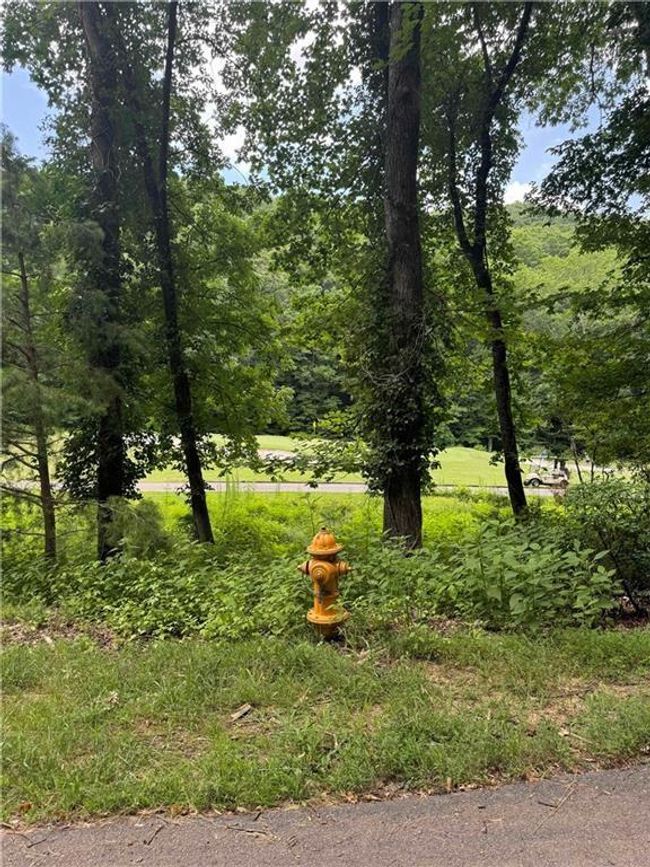 830 N Duffer Dr, Home with 0 bedrooms, 0 bathrooms and null parking in Jasper GA | Image 10