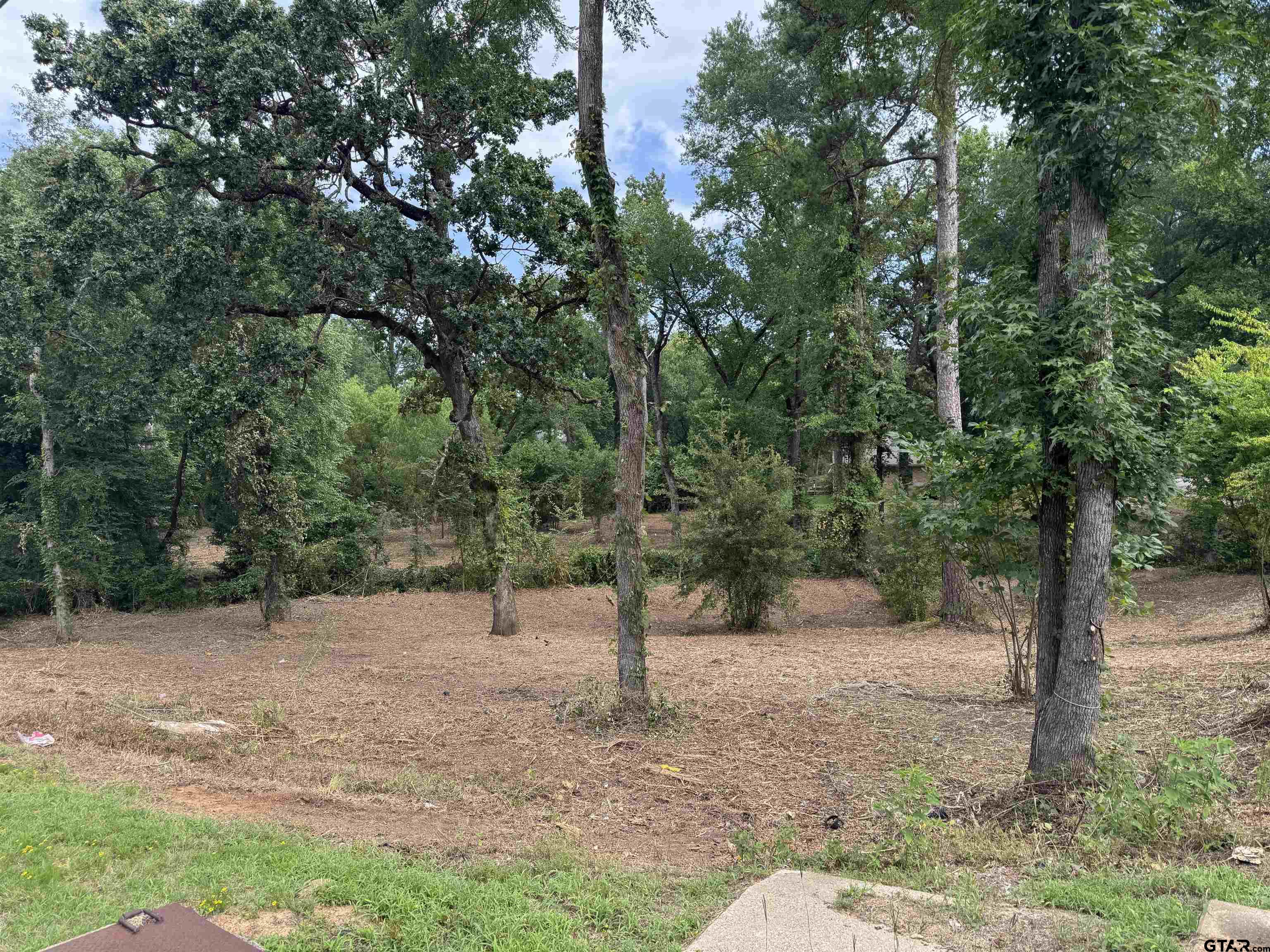Land in Tyler 5