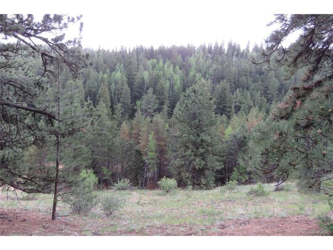 0 Come And See Mine, Home with 0 bedrooms, 0 bathrooms and null parking in Central City CO | Image 30