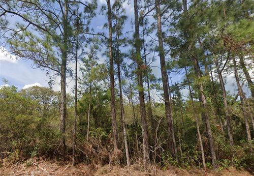 159 Shorewood St, GEORGETOWN, FL, 32139 | Card Image