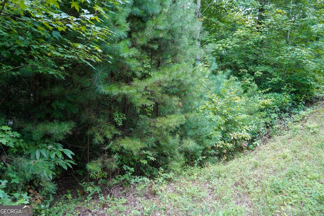 0 Heavenly Cir, Home with 0 bedrooms, 0 bathrooms and null parking in Clayton GA | Image 7