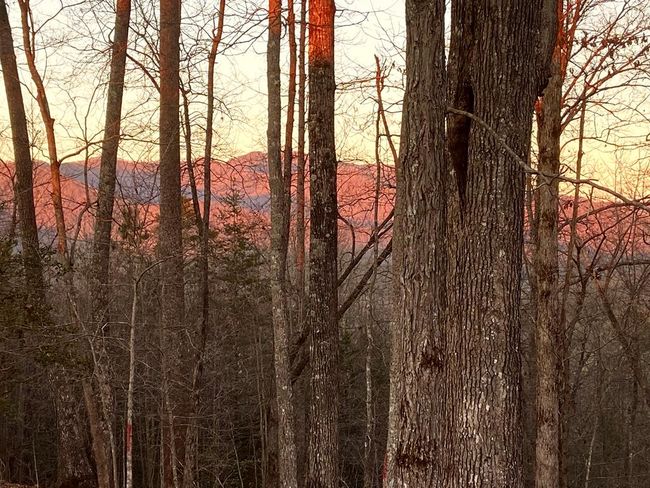#114 Eagles Vw, Home with 0 bedrooms, 0 bathrooms and null parking in Hayesville NC | Image 20